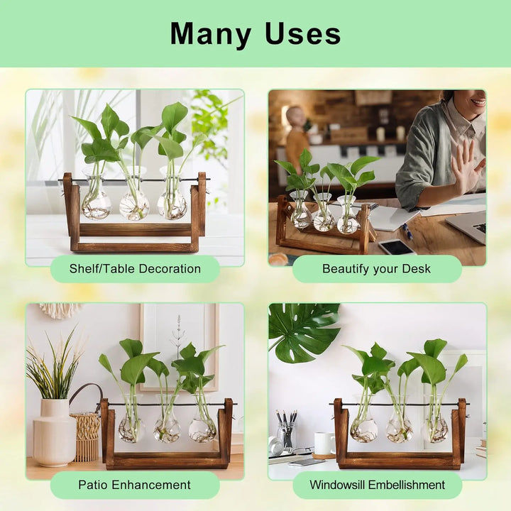 Plant Terrarium with Wooden Stand Planter Bulb Glass Vase Metal Swivel Holder Tabletop for Hydroponics Home Office Decoration