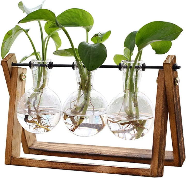 Plant Terrarium with Wooden Stand Planter Bulb Glass Vase Metal Swivel Holder Tabletop for Hydroponics Home Office Decoration